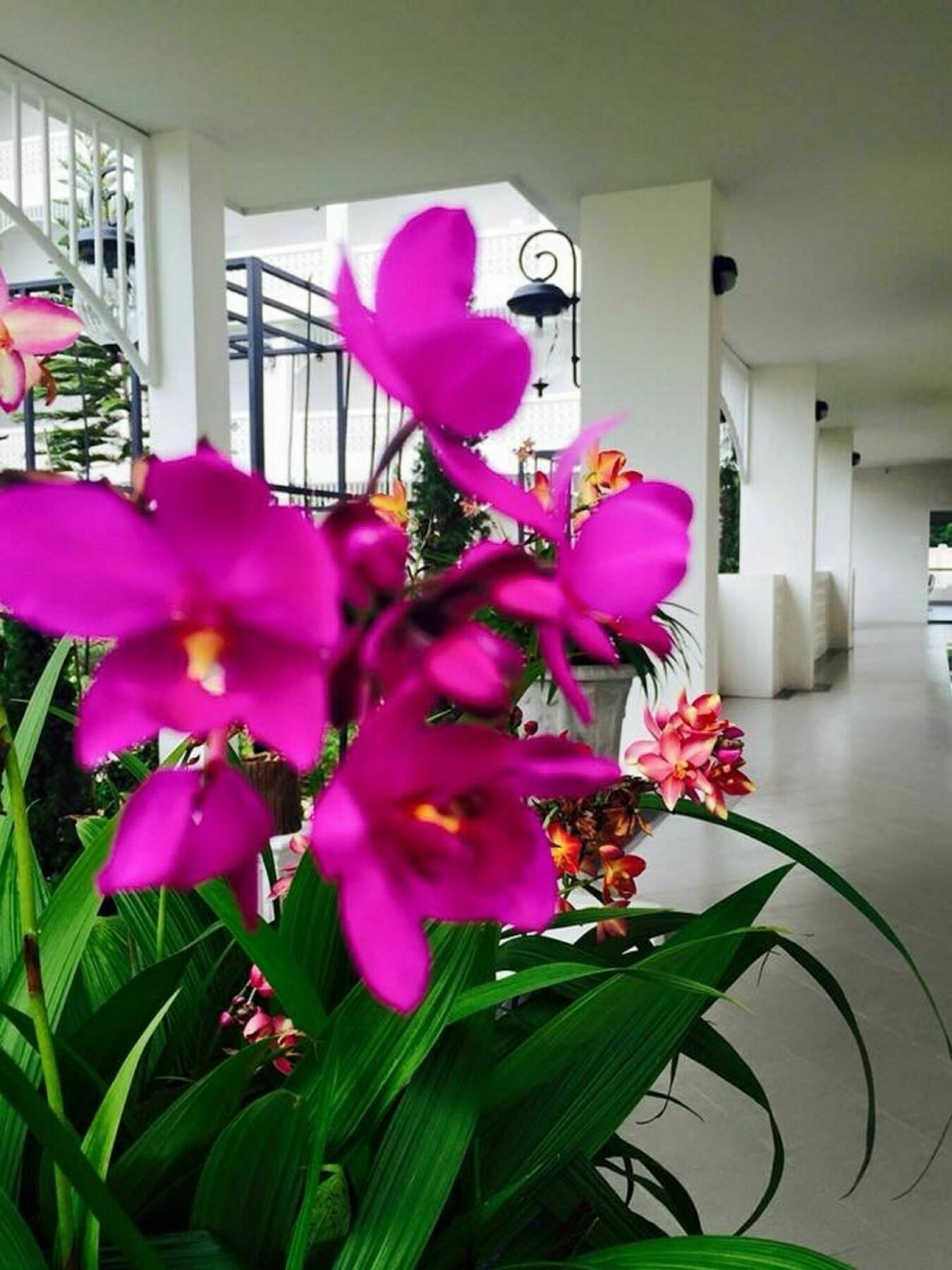 Koranaree Courtyard Boutique Hotel Nakhonratchasima Εξωτερικό φωτογραφία